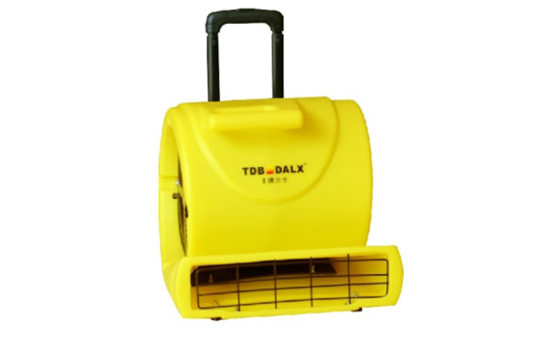 TDB316AF冷風(fēng)吹風(fēng)機(jī)